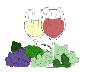 glasses and multi-colored grapes
