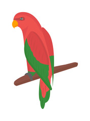 Fototapeta premium Cartoon parrots bird and parrot wild animal bird. Tropical parrot feather zoo birds tropical fauna macaw flying ara. Various cartoon exotic bird with parrots illustration vector
