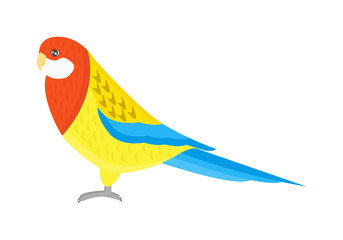 Cartoon parrots bird and parrot wild animal bird. Tropical parrot feather zoo birds tropical fauna macaw flying ara. Various cartoon exotic bird with parrots illustration vector