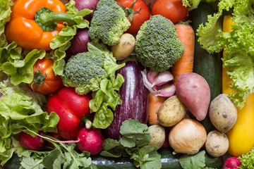 Verschiedenes Gemüse mit frischem Grün als gesundes Stilleben