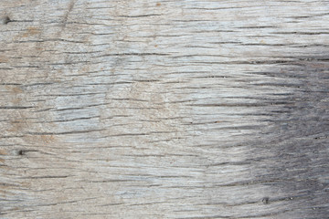 wood texture background