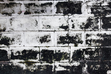 Obraz premium grunge brick wall