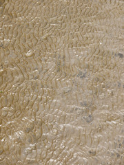 Flowing wet mud texture