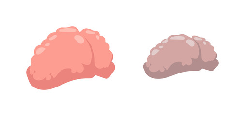 Stupid and clever vector health concept. Smart mind education, isolated stupid and clever brains. Human intelligent communication stupid and clever people brain organ concept.