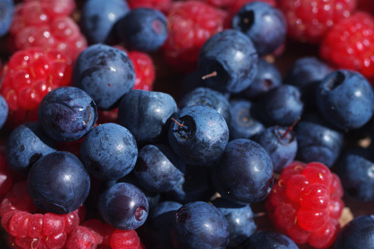 Juicy mature berries of bilberry and raspberry close up. Berry background