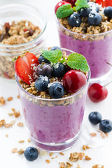 Blueberry dessert with fresh berries and granola 