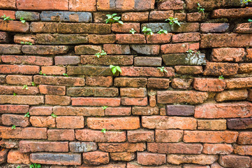 Obraz premium Religion old red brick wall texture