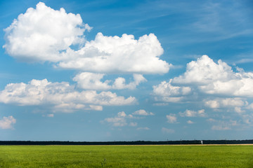 Green field and blue sky landscape