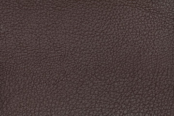 Brown leather texture background. Closeup photo. Reptile skin.