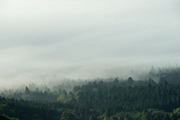 阿蘇雲海