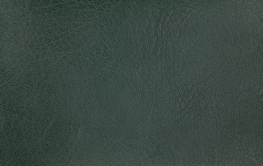 Fototapeta premium Green leather texture background. Closeup photo.