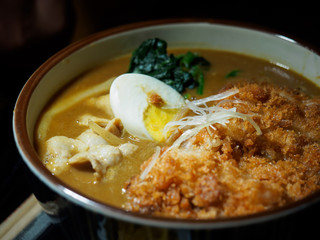 Curry Udon with Tonkatsu