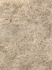hay dry grass background