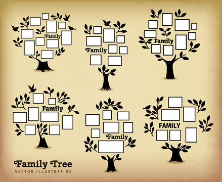Memories tree with picture frames. Insert your photo into template frames. Collage vector illustration