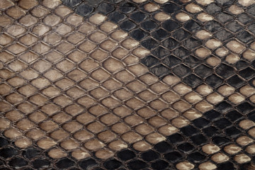 Naklejka premium Genuine snakeskin. Leather texture background. Closeup photo.