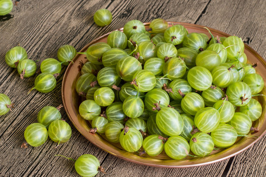 Freshly picked gooseberries.   Freshly picked gooseberries on a round copper tray on a wooden table.