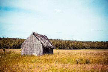 Obraz premium Old village house in a field