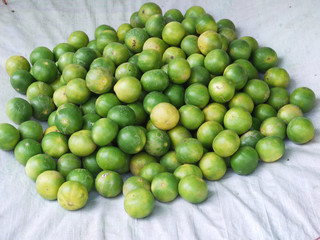 Pile of lime