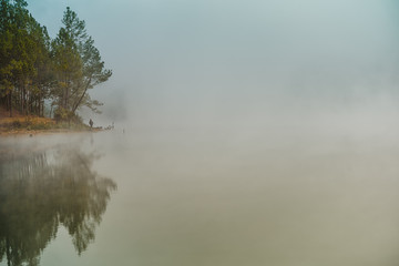 Reflection of pine tree in lake and fog