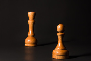chess pieces made out of wood