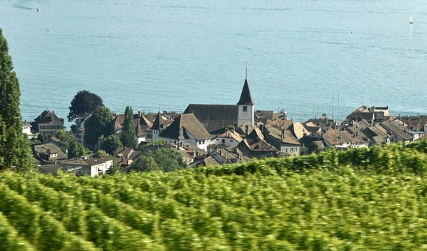le lavaux