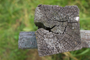 the old log fence with a crack and lichen