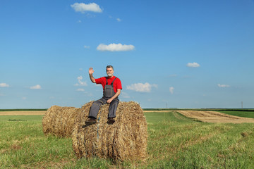 Naklejka na ściany i meble Farmer sitting at bale of hay in field and waving