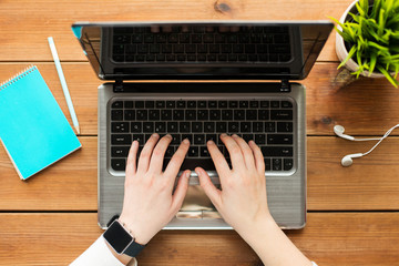 Fototapeta premium close up of woman or student typing on laptop