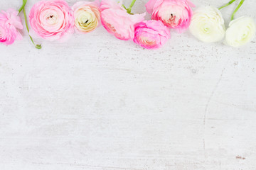 Pink and white ranunculus flowers on aged white wooden background with copy space - Powered by Adobe