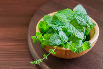 Green fresh mint om the wooden table