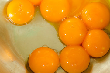 egg yolks