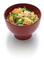 Fukagawadon, miso taste simmered clams rice bowl, Japanese traditional food