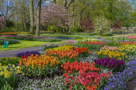 flowerbed in Keukenhof