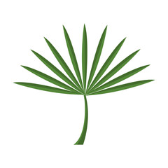 Green nature plant and ecology icon, vector illustration graphic design.