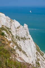 Clifftop, Beachy head, East Sussex, UK