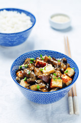 eggplant tofu teriyaki with rice