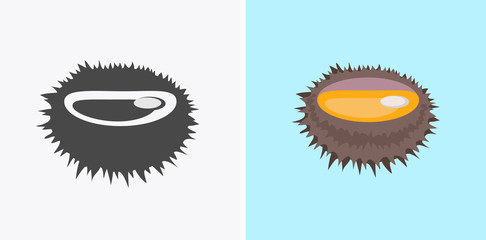 Sea Urchin Vector Flat Design Illustration