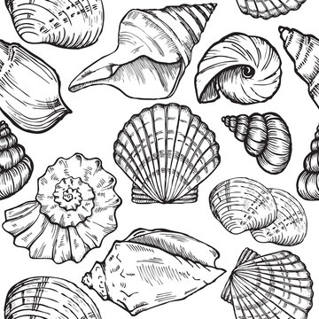 sea shells seamless