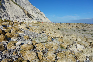 Beachy head coastline in a low tide