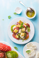 Fototapeta na wymiar Salad with colorful tomatoes, cheese and bread (panzanella salad