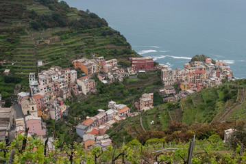 Obraz premium Coastline of Cinque Terre National Park in Liguria Italy