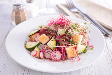 vegan salad with toffu