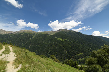 Fototapeta na wymiar montagna montagne cartolina montagna paesaggio verde estate azzurro cielo fiori