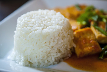 Boiled Rice on the white plate with Tofu