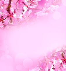 pink abstract background with blooming apple tree