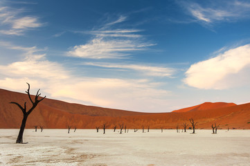 Fototapeta na wymiar Dead trees and red dunes in the Dead Vlei, Sossusvlei, Namibia