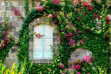 a Spanish-colonial-style window of a stone house is framed by bougainvillea 