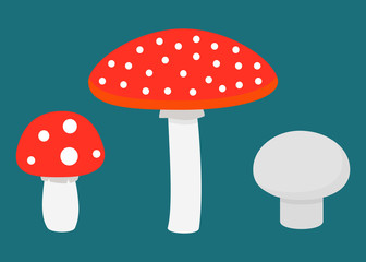 Flat set of different mushrooms. Vector illustration.