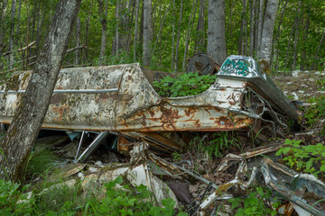 Obraz premium Classic car decays in meadow.