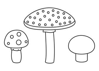 Line set of different mushrooms. Vector illustration.